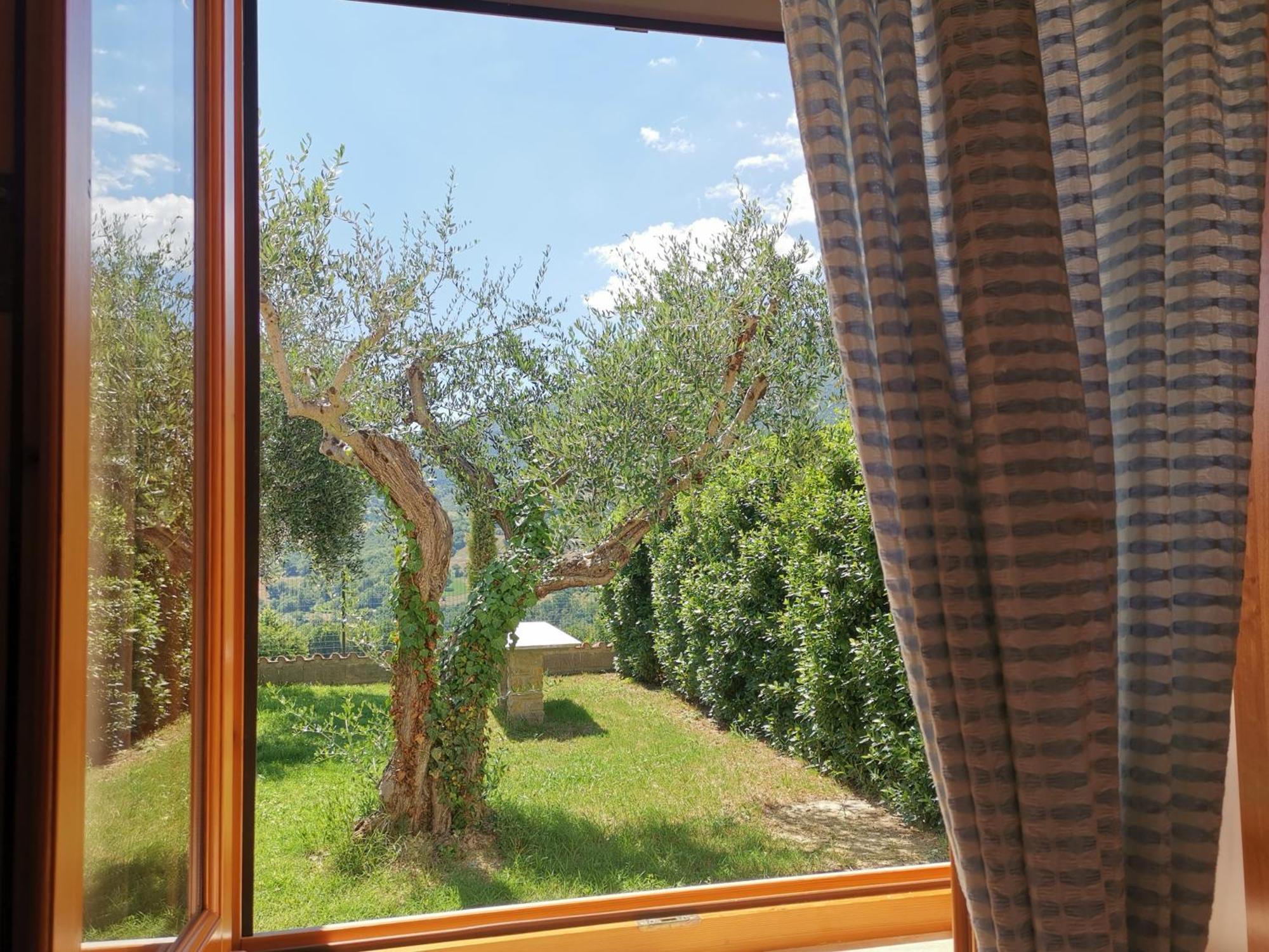 Agriturismo Sole Luna Piano Delle Pieve Quarto foto