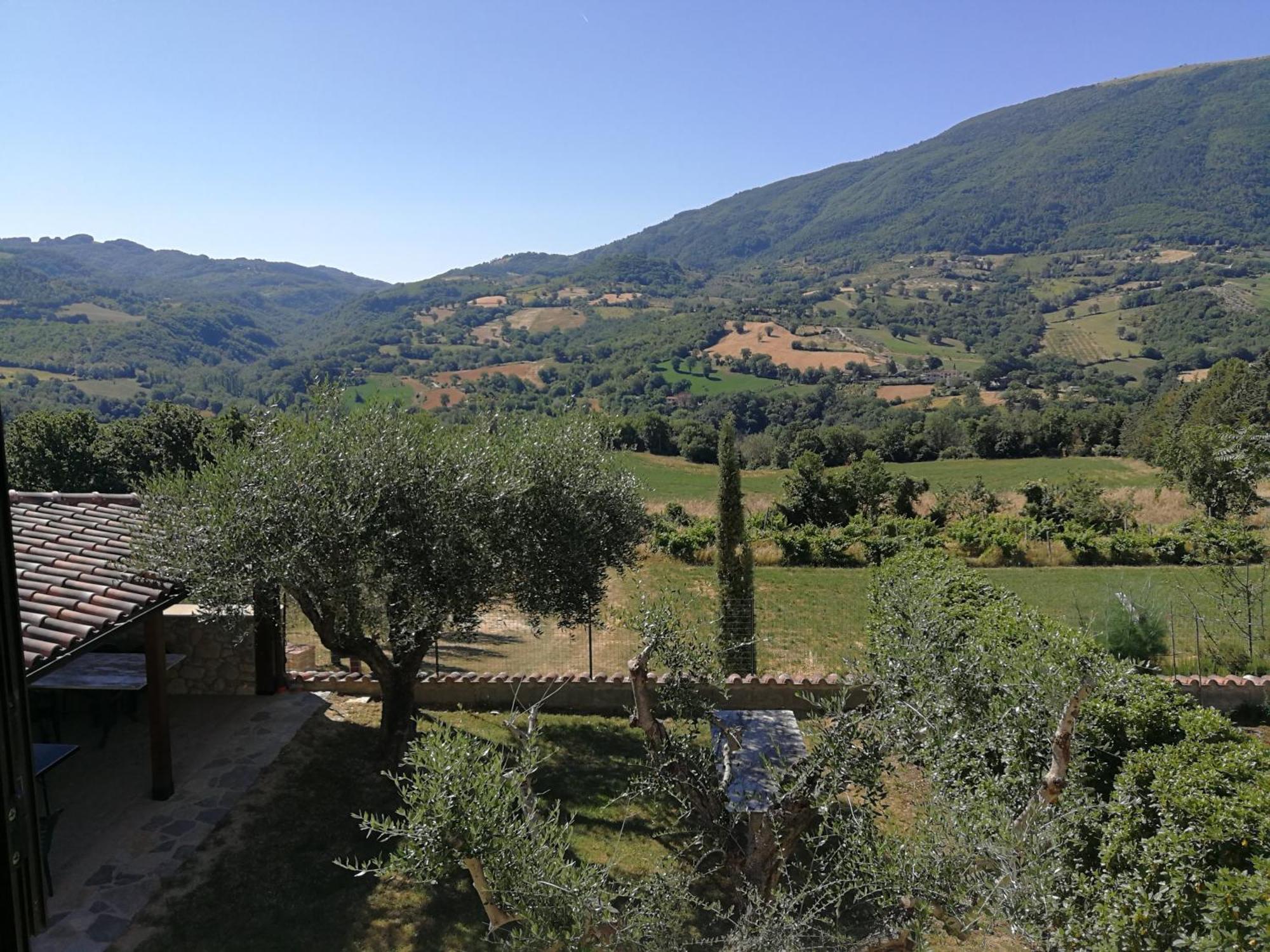Agriturismo Sole Luna Piano Delle Pieve Quarto foto